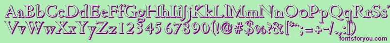 CambridgeshadowMediumRegular Font – Purple Fonts on Green Background