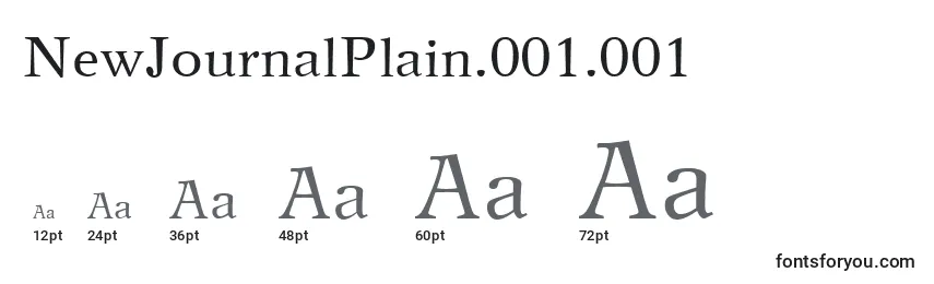 Размеры шрифта NewJournalPlain.001.001