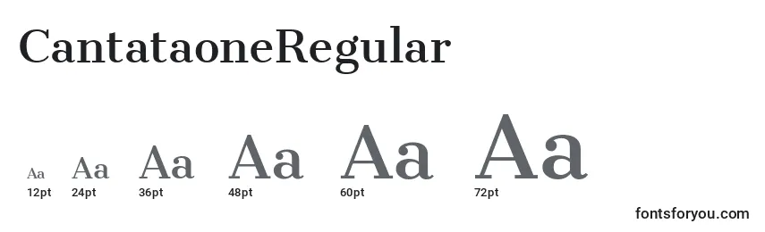 Размеры шрифта CantataoneRegular