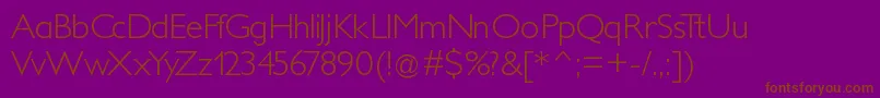 Шрифт Petitalight – коричневые шрифты на фиолетовом фоне