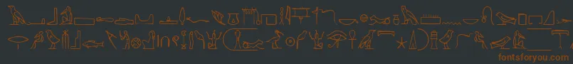 NahktHieroglyphs Font – Brown Fonts on Black Background