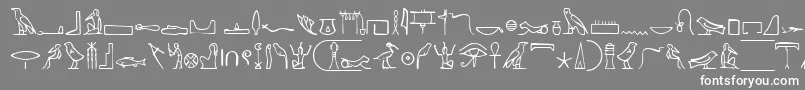 フォントNahktHieroglyphs – 灰色の背景に白い文字