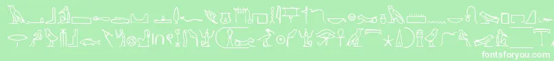 NahktHieroglyphs-Schriftart – Weiße Schriften auf grünem Hintergrund