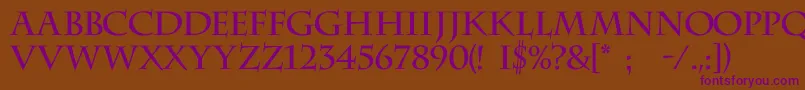 Charlemagnec Font – Purple Fonts on Brown Background