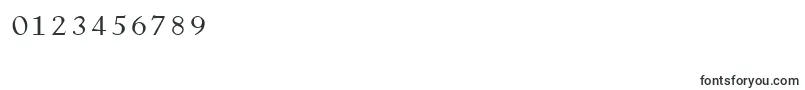 DactylographeUnregistered-Schriftart – Schriften für Zahlen und Nummern
