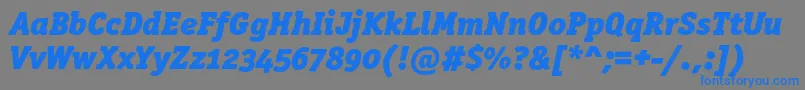 Czcionka OfficinaserifblackoscItalic – niebieskie czcionki na szarym tle