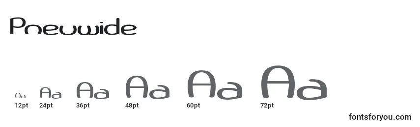 Размеры шрифта Pneuwide