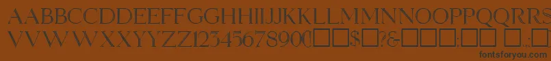 ElizabethAnn Font – Black Fonts on Brown Background