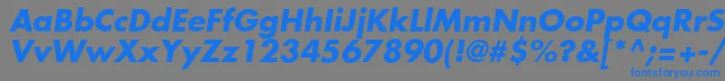 FuturaLtBoldOblique Font – Blue Fonts on Gray Background