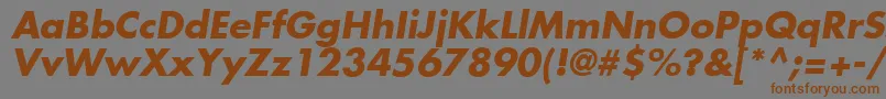 フォントFuturaLtBoldOblique – 茶色の文字が灰色の背景にあります。