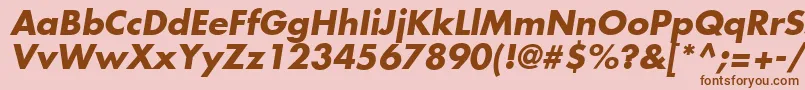 FuturaLtBoldOblique Font – Brown Fonts on Pink Background