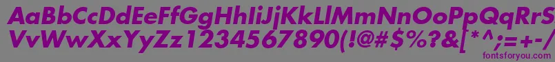 フォントFuturaLtBoldOblique – 紫色のフォント、灰色の背景