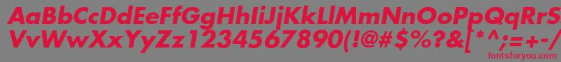 フォントFuturaLtBoldOblique – 赤い文字の灰色の背景