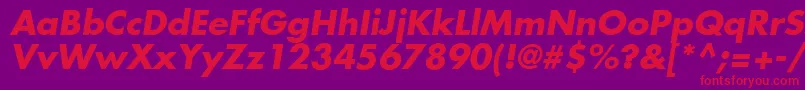 FuturaLtBoldOblique Font – Red Fonts on Purple Background