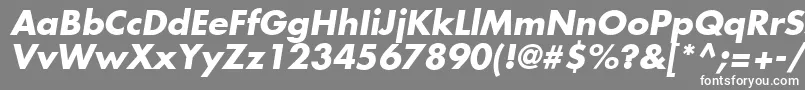 フォントFuturaLtBoldOblique – 灰色の背景に白い文字