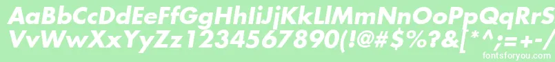 FuturaLtBoldOblique Font – White Fonts on Green Background