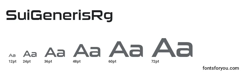 Размеры шрифта SuiGenerisRg