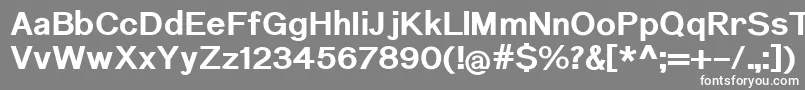 フォントNuromBold – 灰色の背景に白い文字