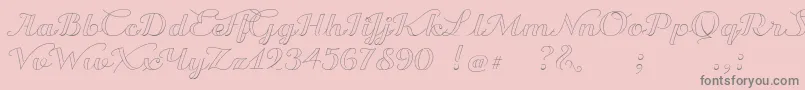 TransatlanticCruiseDemo Font – Gray Fonts on Pink Background