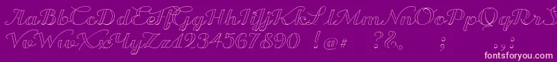 TransatlanticCruiseDemo Font – Pink Fonts on Purple Background