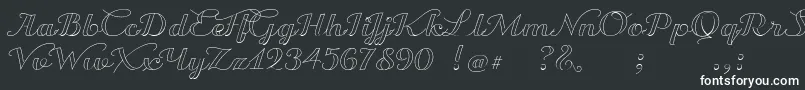 Шрифт TransatlanticCruiseDemo – белые шрифты на чёрном фоне