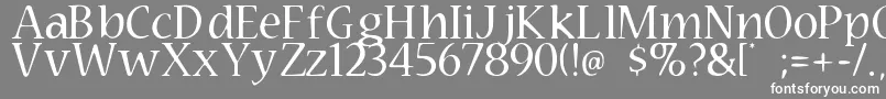 Technomage Font – White Fonts on Gray Background