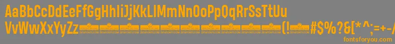 HeadingProBoldTrial Font – Orange Fonts on Gray Background