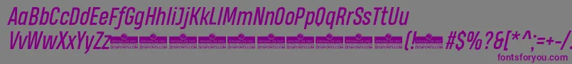 HeadingProItalicTrial Font – Purple Fonts on Gray Background