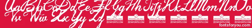 JamscriptTrial Font – White Fonts on Red Background