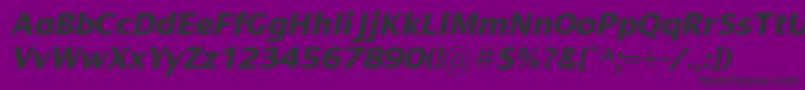 DialogXboldItalic Font – Black Fonts on Purple Background