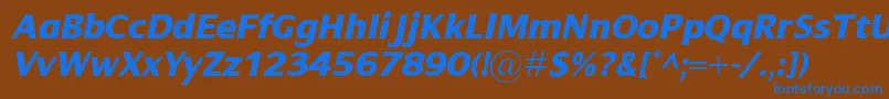 フォントDialogXboldItalic – 茶色の背景に青い文字