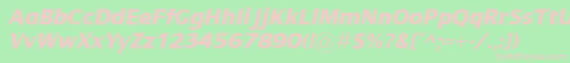 DialogXboldItalic Font – Pink Fonts on Green Background