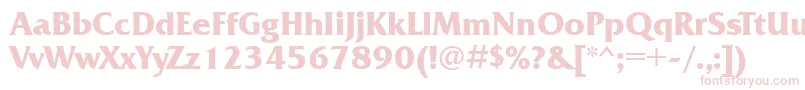 FrizquadrataettBold Font – Pink Fonts on White Background