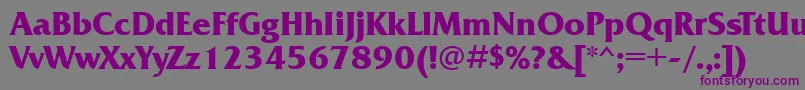 FrizquadrataettBold Font – Purple Fonts on Gray Background