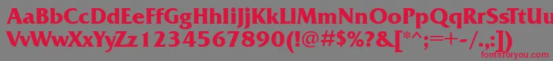 FrizquadrataettBold Font – Red Fonts on Gray Background