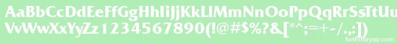FrizquadrataettBold Font – White Fonts on Green Background