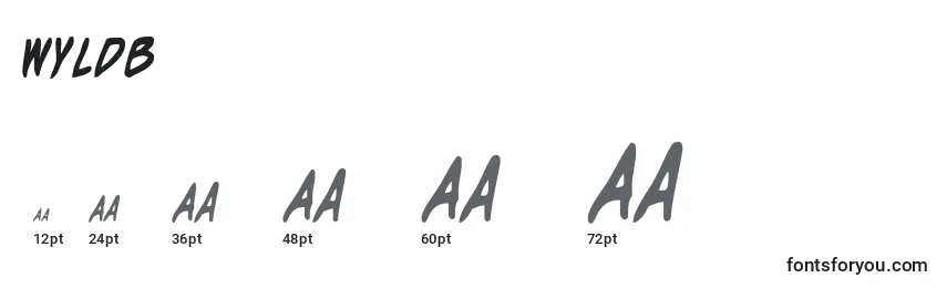 Wyldb Font Sizes