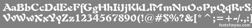 フォントFreeform721BlackBt – 灰色の背景に白い文字