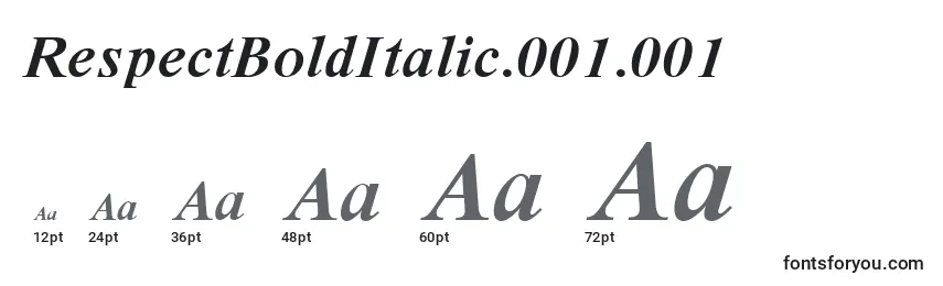 RespectBoldItalic.001.001 Font Sizes