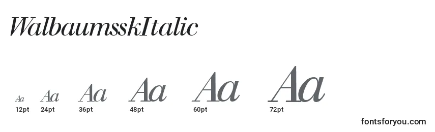 Размеры шрифта WalbaumsskItalic