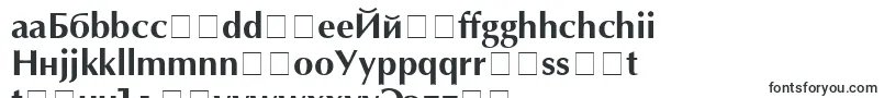 Шрифт AgoptcyrillicBold – чешские шрифты