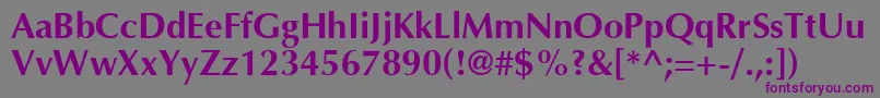 Шрифт AgoptcyrillicBold – фиолетовые шрифты на сером фоне