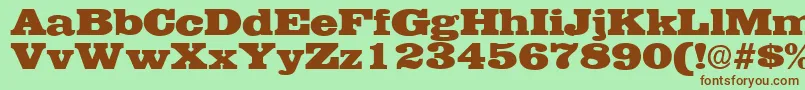 EgyptianRegularDb Font – Brown Fonts on Green Background