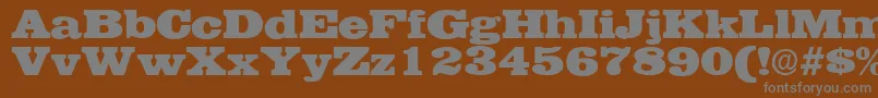 フォントEgyptianRegularDb – 茶色の背景に灰色の文字