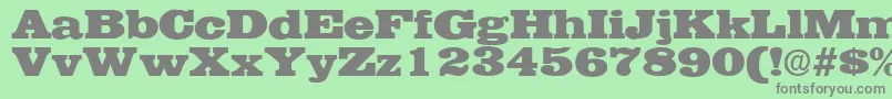 EgyptianRegularDb Font – Gray Fonts on Green Background