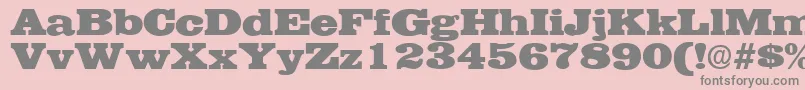 EgyptianRegularDb Font – Gray Fonts on Pink Background