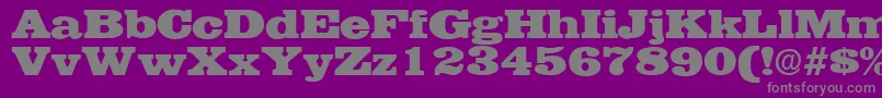 More about EgyptianRegularDb Font EgyptianRegularDb Font – Gray Fonts on Purple Background