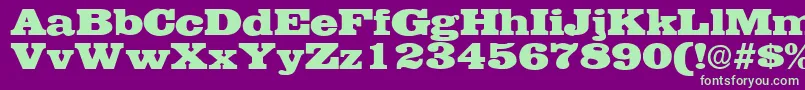 EgyptianRegularDb Font – Green Fonts on Purple Background