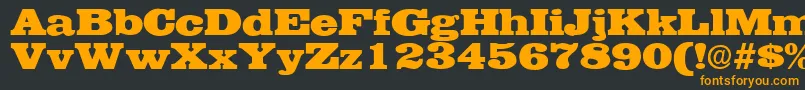 EgyptianRegularDb Font – Orange Fonts on Black Background