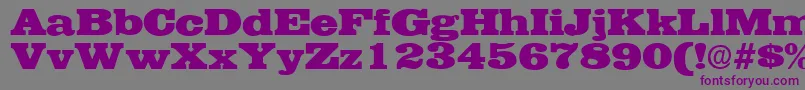 Czcionka EgyptianRegularDb – fioletowe czcionki na szarym tle